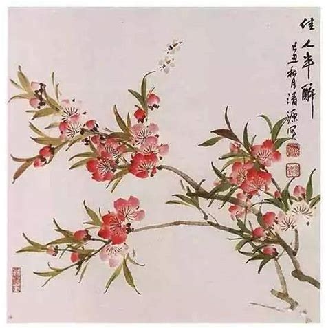 桃花画法|国画教程——写意桃花画法